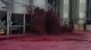 50 тыс. литров красного вина затопило завод в Испании