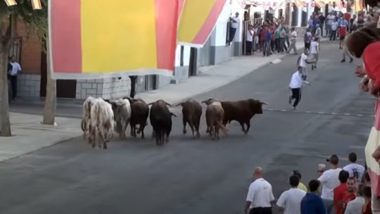В Испании состоялся первый забег с быками в постковидное время